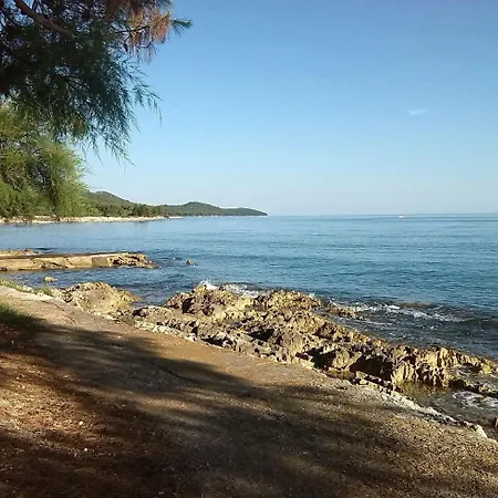 Brane - Charming And Close To The Sea
