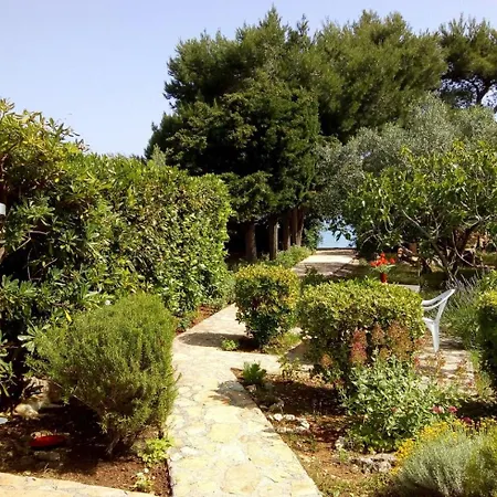 Brane - Charming And Close To The Sea Sutomiscica