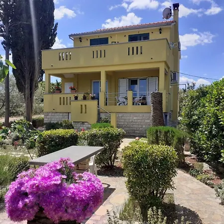Brane - Charming And Close To The Sea