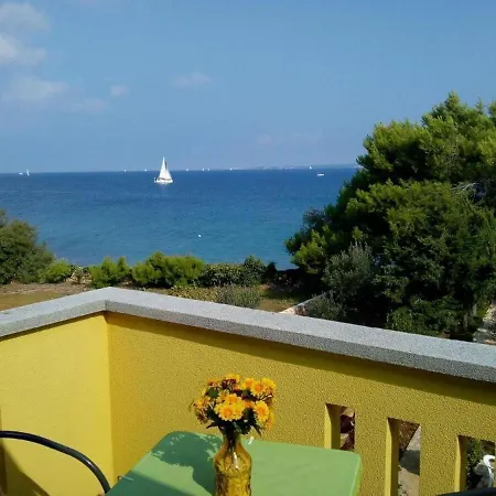 Brane - Charming And Close To The Sea Sutomiscica