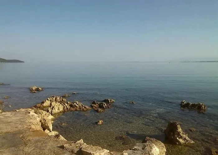 Апартаменты Brane