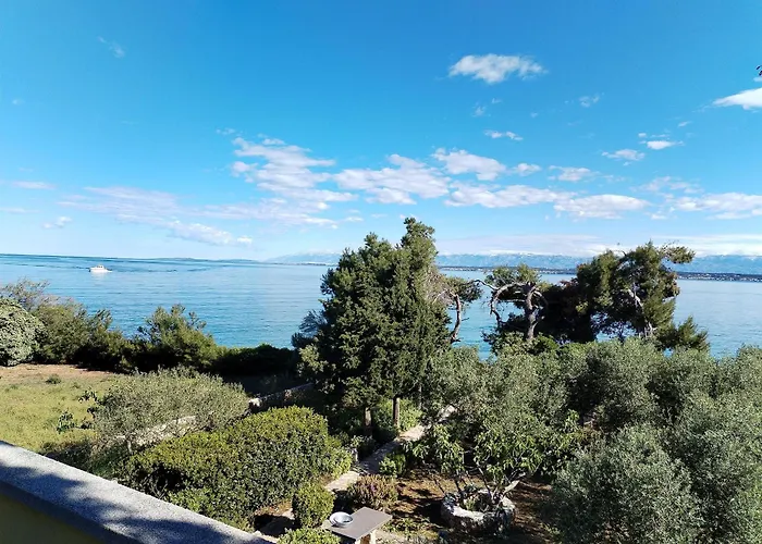 Brane Апартаменты *